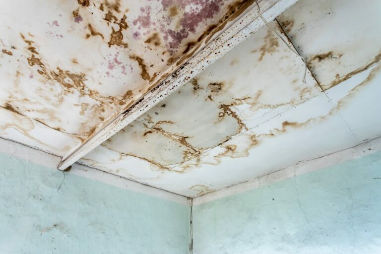 Dégât des eaux : les démarches avec l'assurance et la copropriété